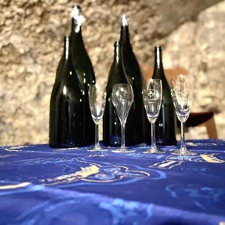 Au Coeur Du Vignoble Διαμέρισμα Verzenay